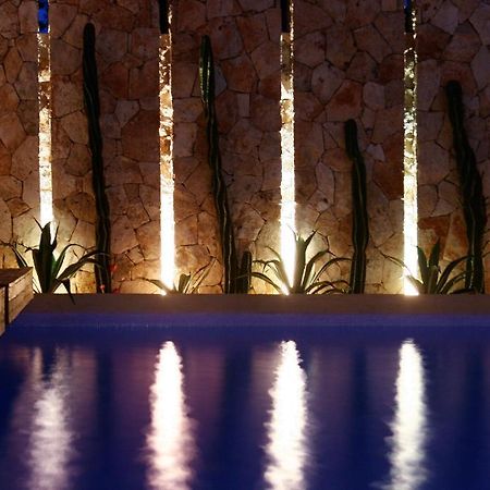 Mosquito Beach Hotel بلايا ديل كارمن المظهر الخارجي الصورة